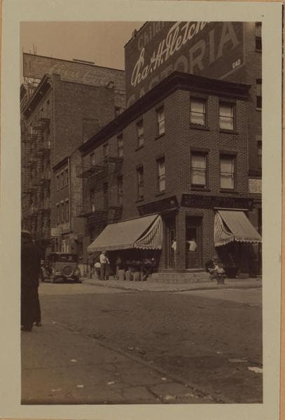 Manhattan: Roosevelt Street - Cherry Street, 1933