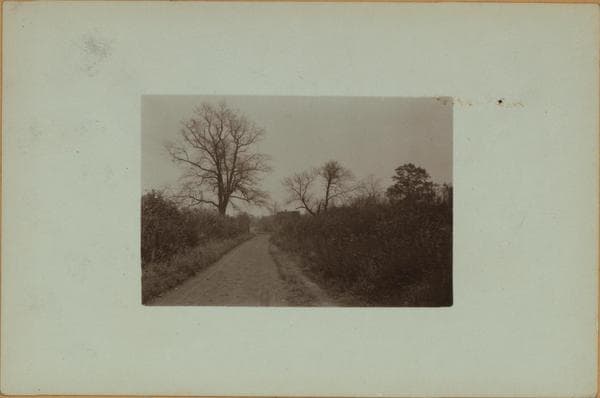 Richmond: Rockland Avenue - Richmond Avenue, 1922–1926