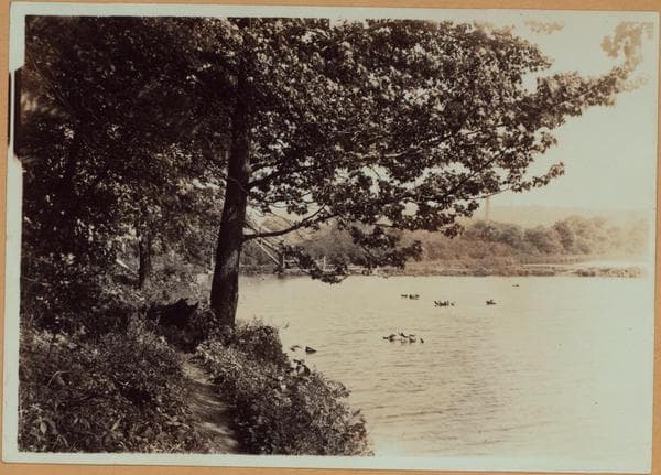 Richmond:] Staten Island - Clove Lakes Park - [Two scenes of Clove Lake., 1910