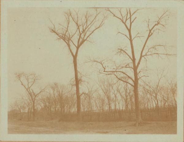 Queens: Maspeth Avenue - 53rd Street, 1923