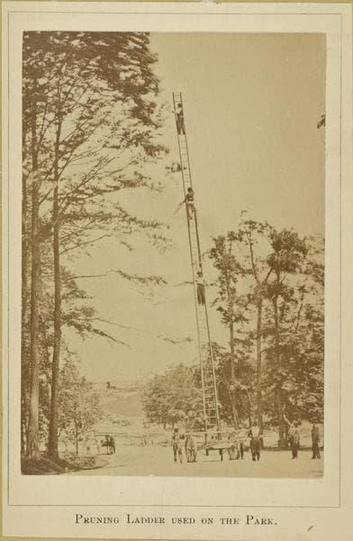 Brooklyn: Prospect Park., 1860
