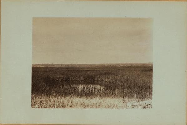Staten Island - Oakwood Beach - [Salt meadows ; Lake Hill.], 1911–1925