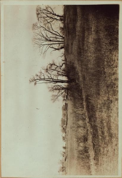 Queens: Colonial Avenue - 62nd Drive, 1924–1926
