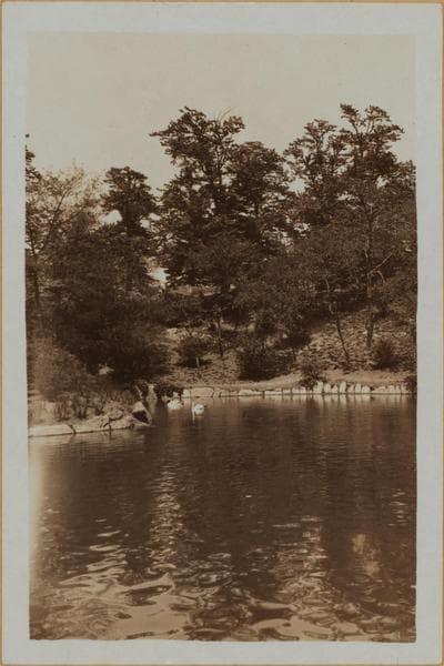 Manhattan: Central Park - The Pond., 1933