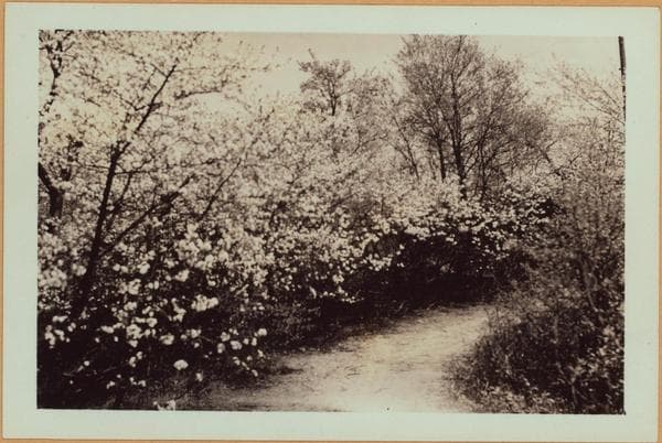 Richmond: Arthur Kill Road - Winant Avenue, 1937