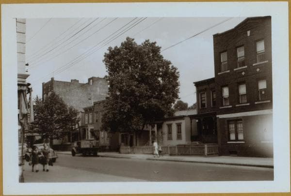 Brooklyn: Belmont Avenue - Jerome Street