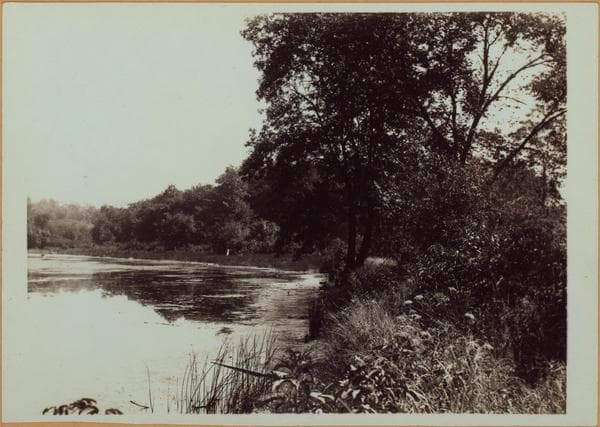 Richmond:] Staten Island - Clove Lakes Park - [View of Clove Lake, formerly known as Britton's Pond., 1910