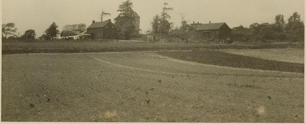 Queens: Laurel Hill Boulevard - 58th Place, 1923