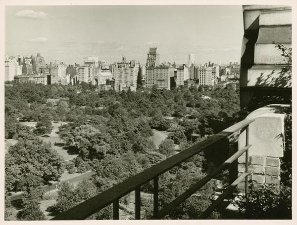 Parks - Central Park