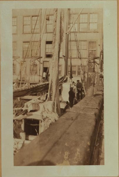 Fulton fish market - [Drying nets in preparation for next fishing trip.], 1923–1933