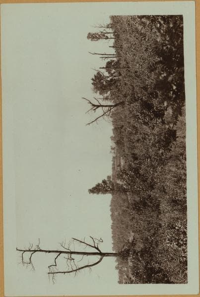 Colleges and Universities - Wagner College - Staten Island [Richmond.], 1932–1937