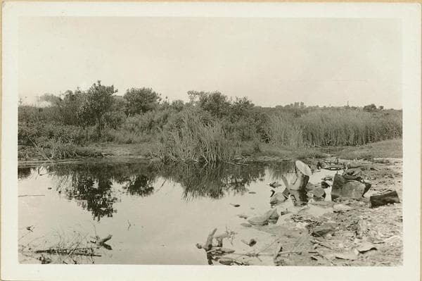 Queens: Juniper Valley Park., 1935–1940