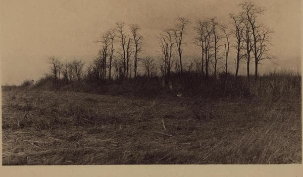 Queens: 73rd Avenue - Utopia Parkway, 1927