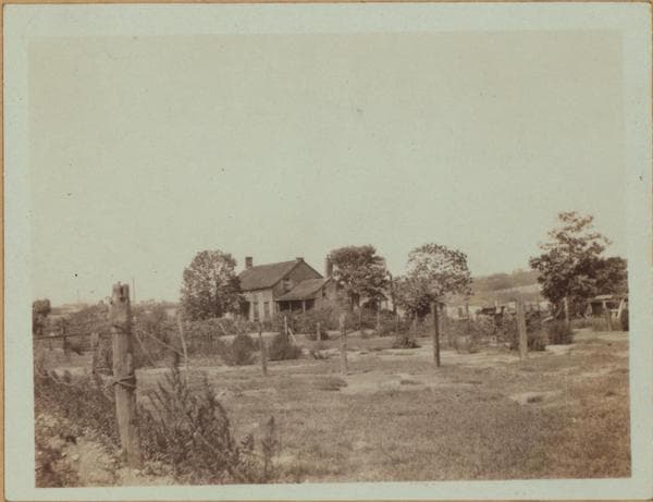 Queens: 55th Drive - 56th Street, 1921–1929