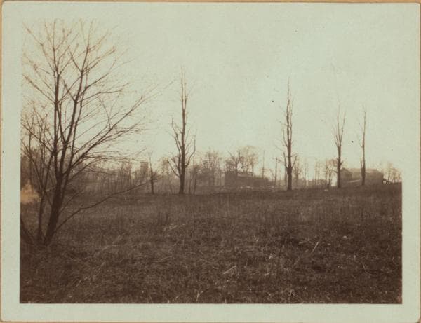 Queens: Bayside Avenue - Strang Avenue, 1925