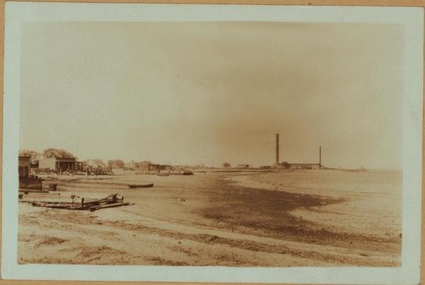 Islands - Barren Island - [Old Public School No. 120 - Horse disposal plant.], 1931