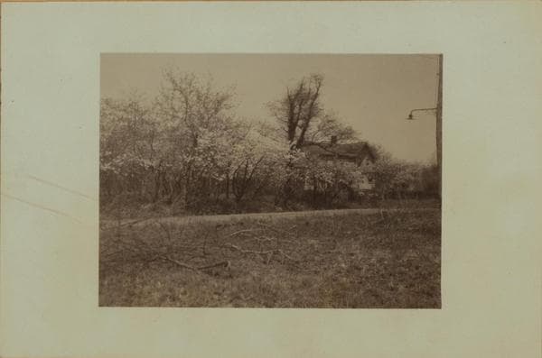 Richmond: Signs Road - Victory Boulevard, 1926