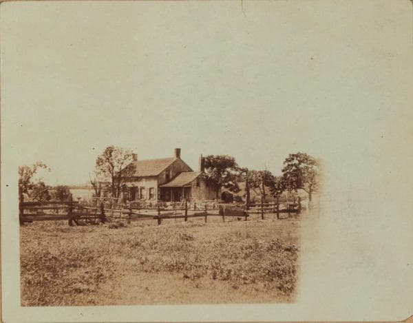 Queens: 55th Drive - 56th Street, 1921–1929
