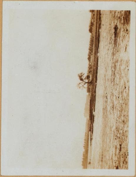 Brooklyn: Ave. U - Van Sicklen St., 1927–1931