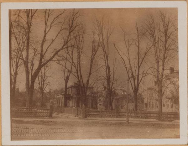 Brooklyn: Flatbush Avenue - Westbury Court, 1900–1925