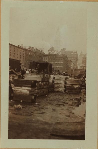 Fulton fish market - [Purchasers examining packaged fish in the middle of Peck Slip.], 1923