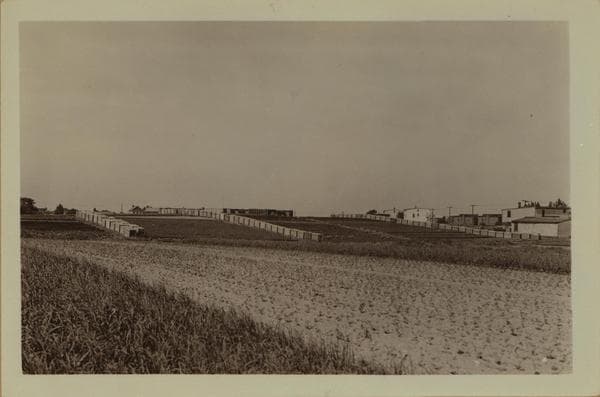 Farming - Queens., 1935