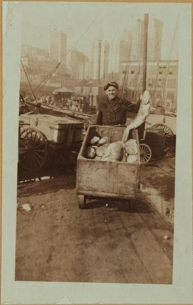 Fulton fish market - [North dock - East River.], 1923