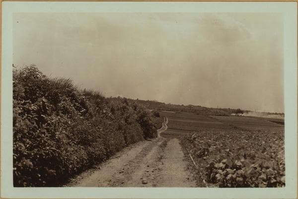 Farming - Queens., 1935