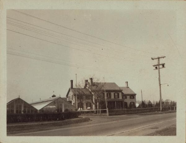 Queens: Sutphin Boulevard - 125th Avenue, 1925