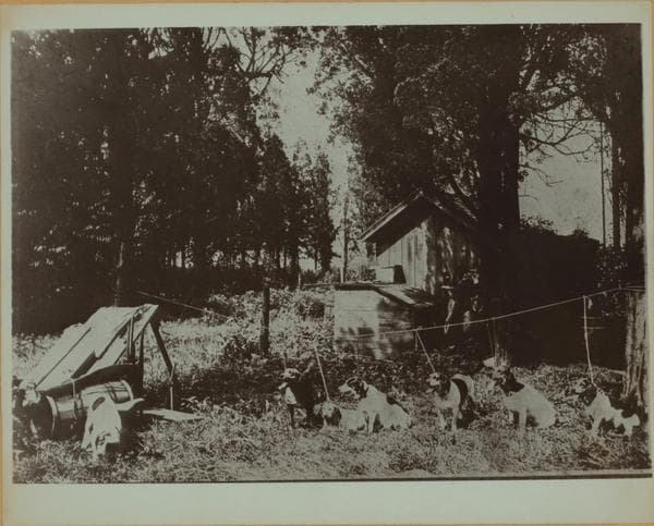 Staten Island - Poppy Joe Island Beach - [Stroud place.], 1911