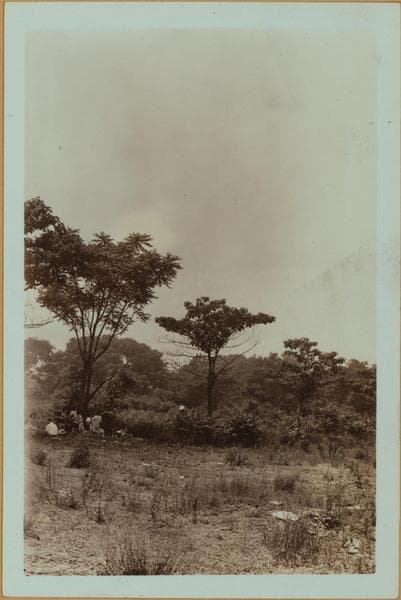Staten Island - South Beach., 1929–1935