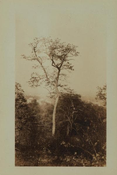 Richmond: Sparkill Avenue - Duncan Street, 1926