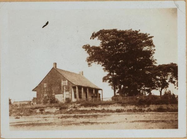 Brooklyn: Lincoln Avenue - Pitkin Avenue, 1895–1922