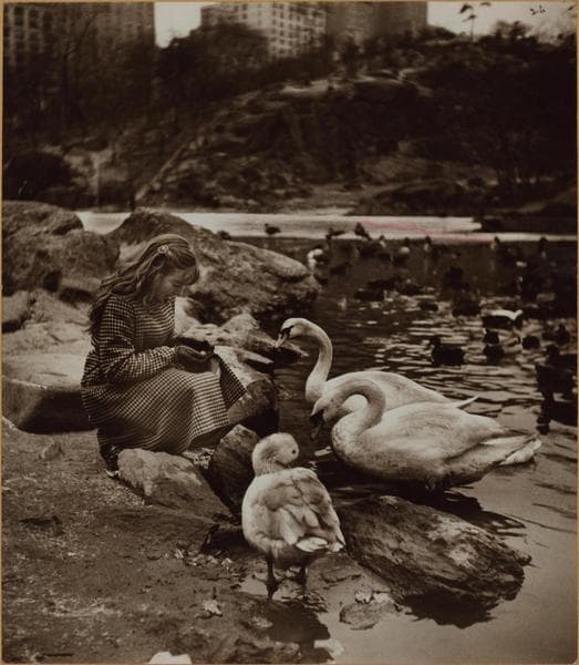 Manhattan: Central Park - The Pond., 1938