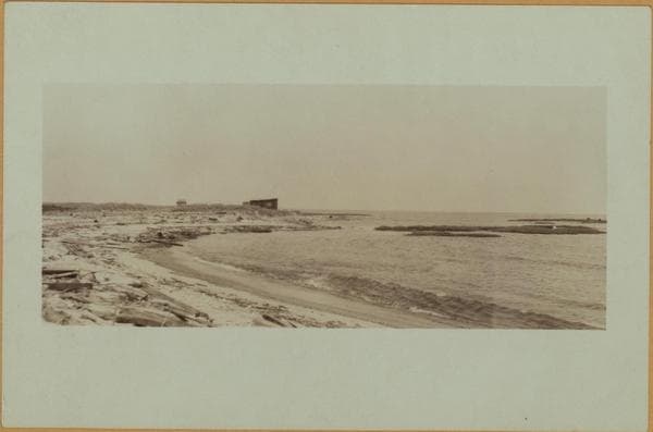 Staten Island - Oakwood Beach - [Salt meadows.], 1925