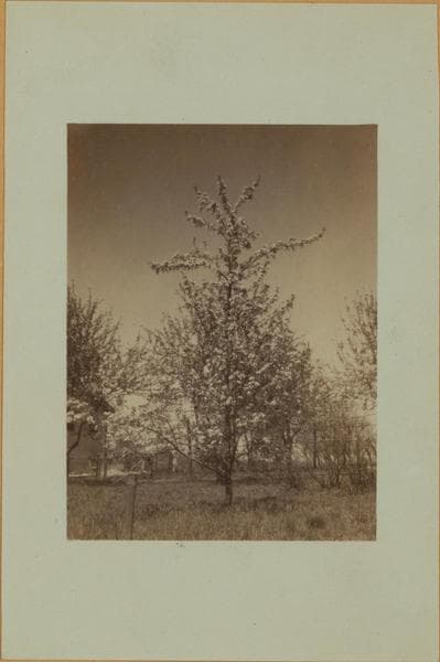 Richmond: Travis Avenue - Richmond Avenue, 1926–1937
