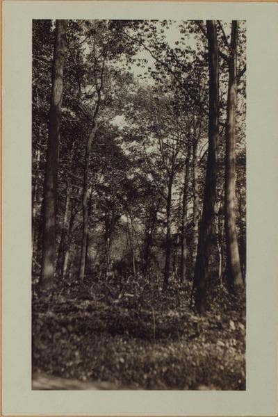 Richmond: Clove Road - Fingerboard Road, 1926
