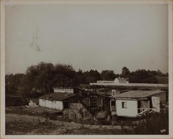 Manhattan: 98th Street - 5th Avenue, 1893