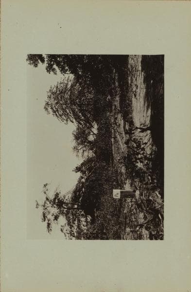 Bridges - Outerbridge Crossing site - [Linking Tottenville, Staten Island with Perth Amboy, New Jersey.], 1926