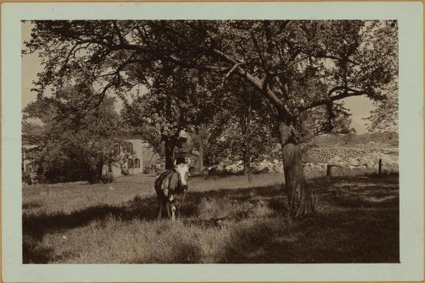 Farming on Staten Island, 1926