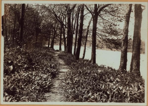 Richmond:] Staten Island - Clove Lakes Park - [View of Clove Lake, formerly known as Britton's Pond., 1910