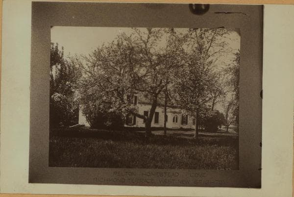 Richmond: Richmond Terrace - Pelton Avenue, 1895–1924