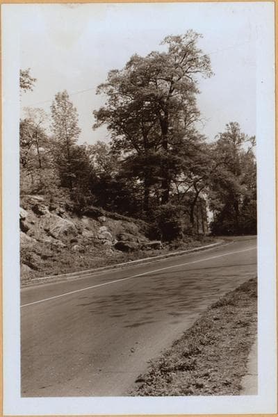 Bronx: Van Cortlandt Avenue - Bailey Avenue, 1938