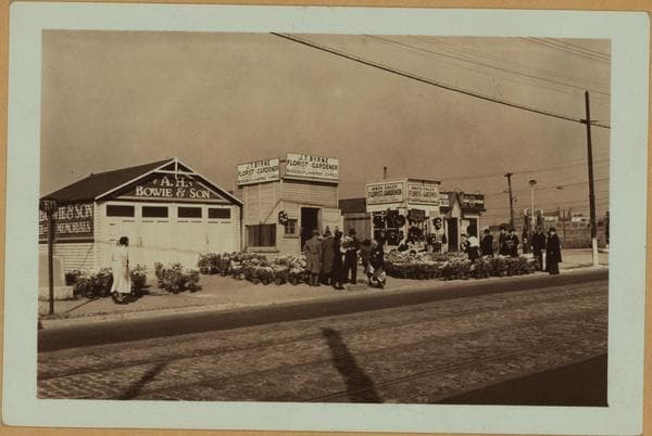 Occupations - Peddlers - Flowers., 1930–1936