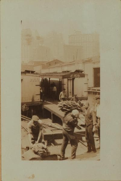 Workmen and laborers - [Unloading bananas on the East River, near financial district.], 1925