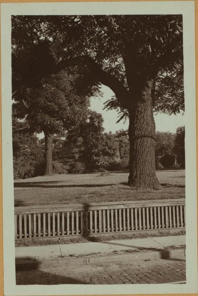Richmond: Richmond Terrace - Taylor Street, 1932