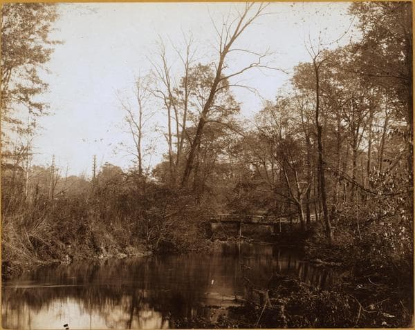 Bronx: Bronx River Parkway - 174th Street (East), 1930