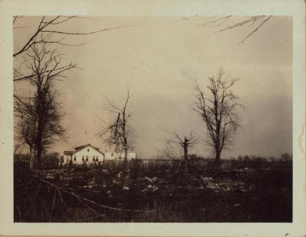 Queens: Woodhaven Blvd - Fleet Street, 1923–1925