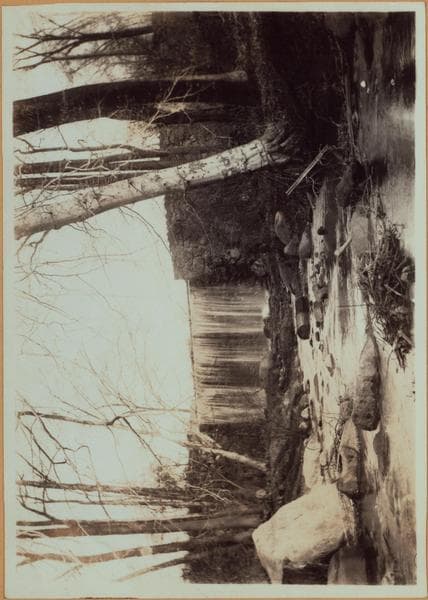Richmond:] Staten Island - Clove Lakes Park - Brook's Falls., 1910