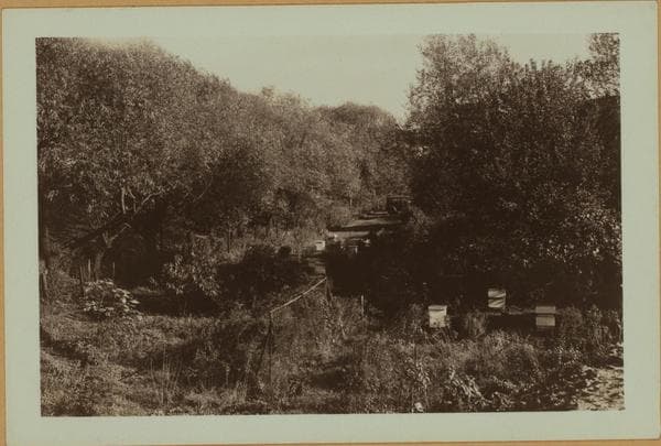 Farming - [Queens]., 1927